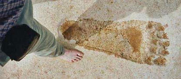 �����ǰ���������20�׾������´��ӡ��