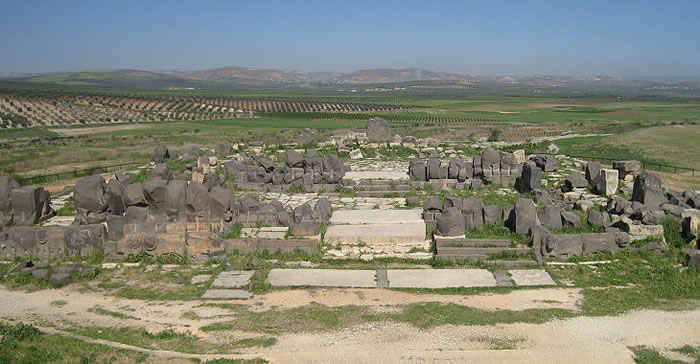 �����ǰ���������20�׾������´��ӡ��