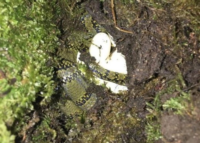 ����������о��Ŷӳɹ�����������߽����ߵ���