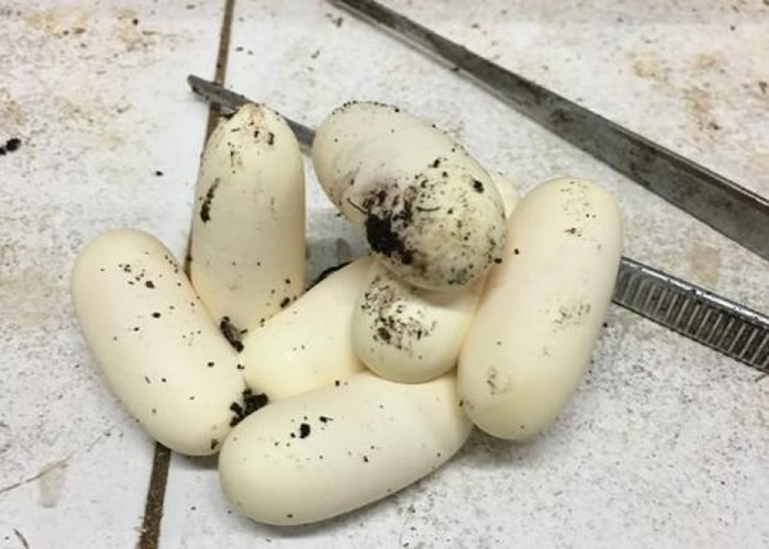 ��߽�����Ӧ���ӻ�������Ȼ������������Ȼ��������Ϊ��ѧ������⡣