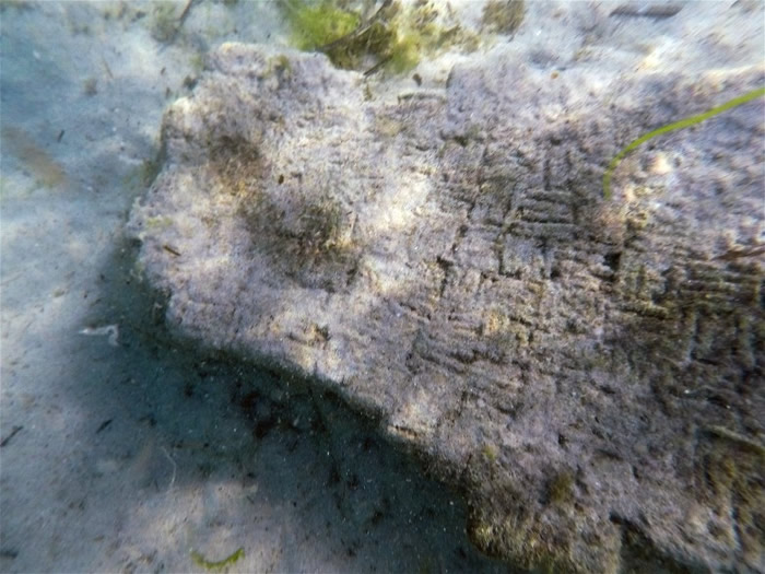 在水下废墟发现的石碑。