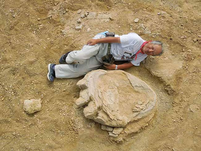 蒙古国戈壁沙漠发现3个超过1米的巨型恐龙足迹化石 推测恐龙体长超过30米