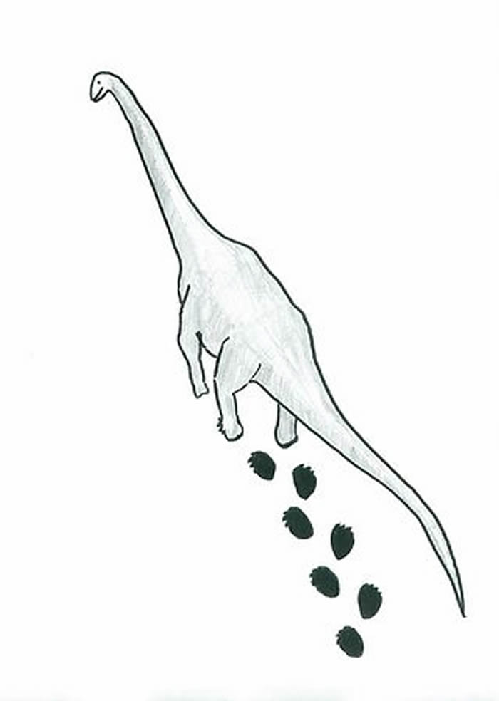 蒙古国戈壁沙漠发现3个超过1米的巨型恐龙足迹化石 推测恐龙体长超过30米