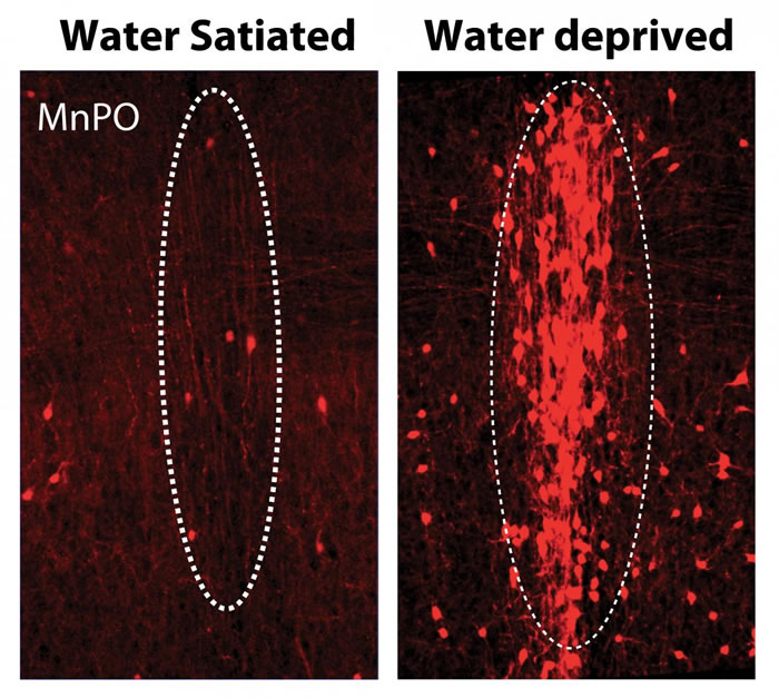 ڰˮȡڲǰˣMnPOеĿڿԪл