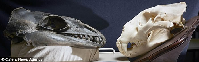 ޿ѧָ֤Զ뾨ӵʨķ дʷ