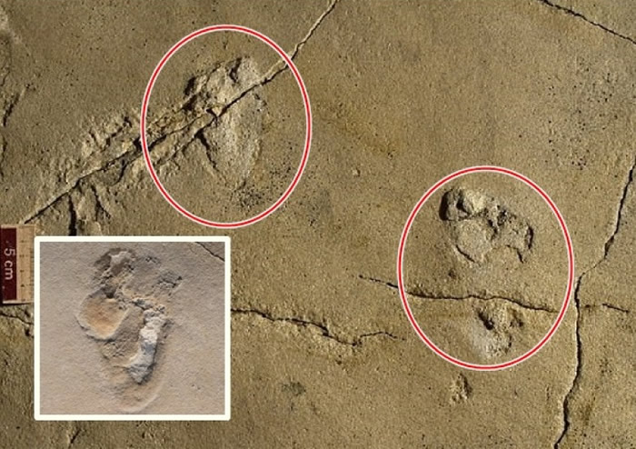 希腊克里特岛发现疑似570万年前古人类足迹化石 或颠覆人类进化史
