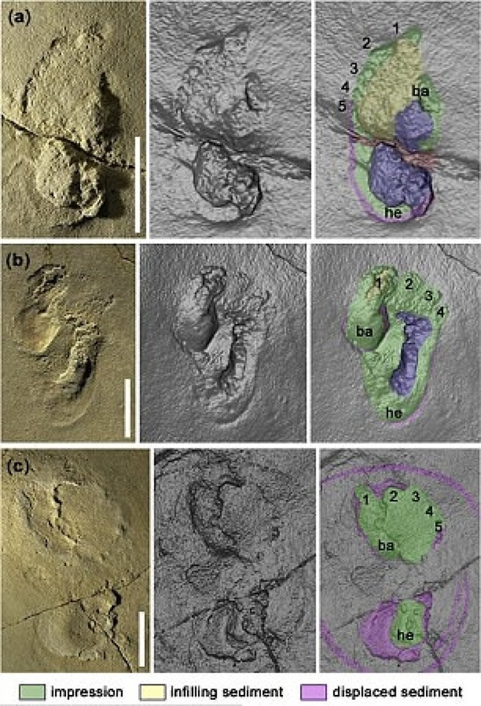 团队扫瞄出清晰的足迹。