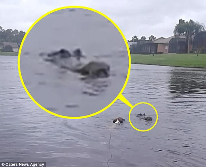 ���������������쫷簬�괵Ϯ ��ˮ����Ӿ�Ĺ����������������