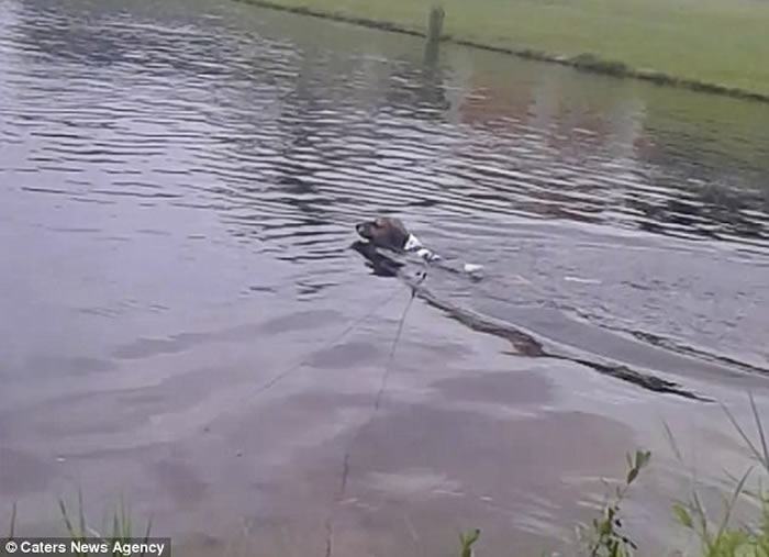 ���������������쫷簬�괵Ϯ ��ˮ����Ӿ�Ĺ����������������