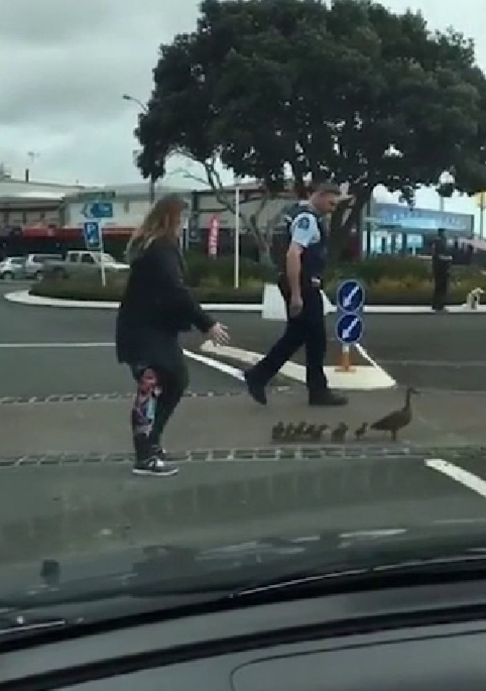 �����������������˹��Ѽ��ͥ�������� ������������·