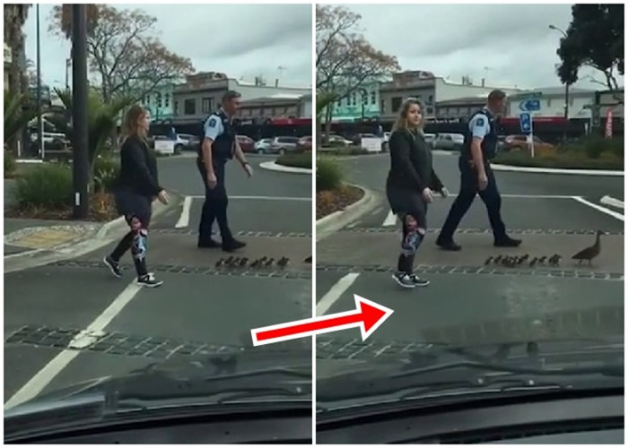 �����������������˹��Ѽ��ͥ�������� ������������·