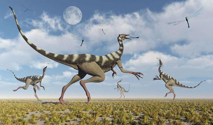 ���ֲ��������ִ������������У���ôʳ�ݿ����ض�����Ҫ�Կ���ֲ��Ϊʳ�����ǵ�����ֲ�����������������ʳ�ݿ��������λ�����С����ô������ʱ�ھ��Ϳ���������ʧ��