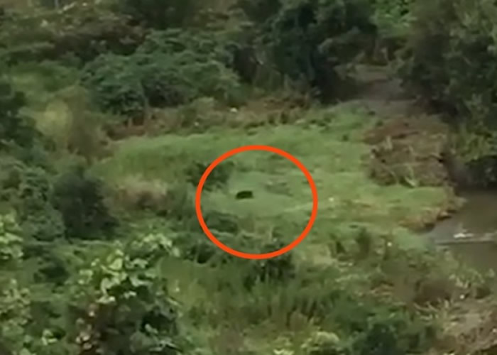 ���ܣ���Ȧʾ����סլ���ڲݴԳ�û��