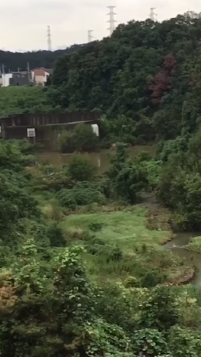 �·��ص�ӽ���ӡ�