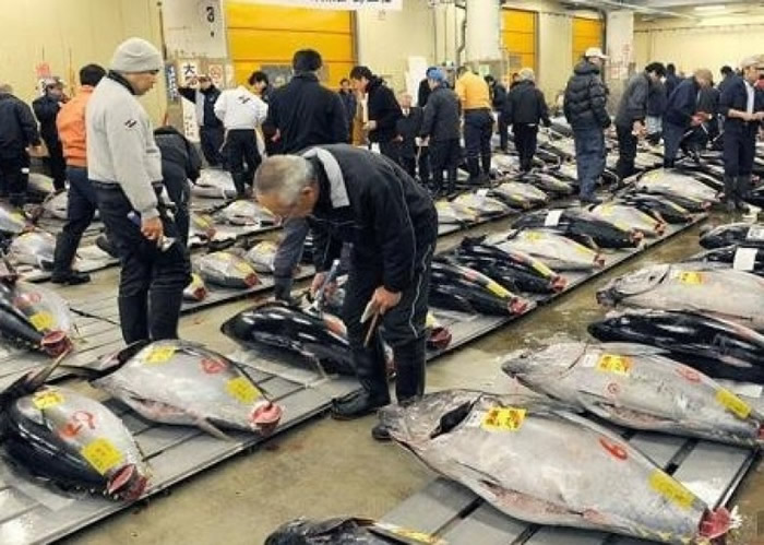 日本的民众在选购鱼类。(资料图片)