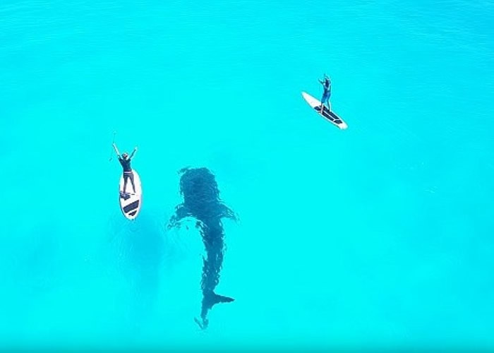 ī���翲����Ӿ�;���ͬ��Ϸˮ