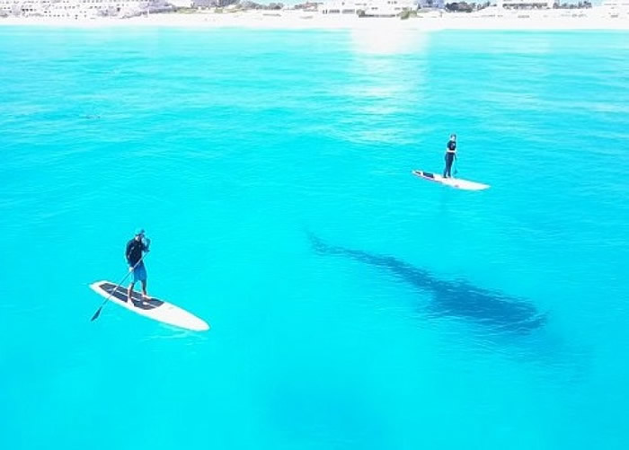 ī���翲����Ӿ�;���ͬ��Ϸˮ