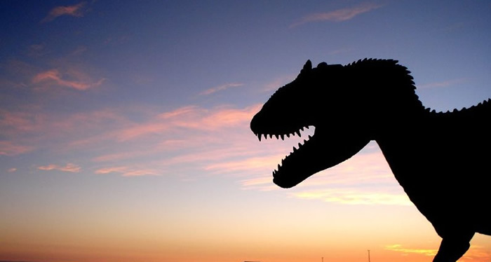 美国古生物学家Mary Schweitzer在寻找恐龙蛋白的道路上执着前行