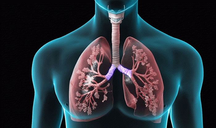 《美国医学会杂志》:美国近几十年来慢性呼吸道疾病死亡率大幅增加