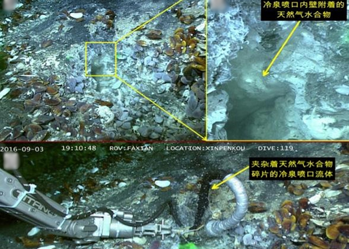 科学家首次发现“可燃冰”附着在处于喷发状态的冷泉喷口内壁。