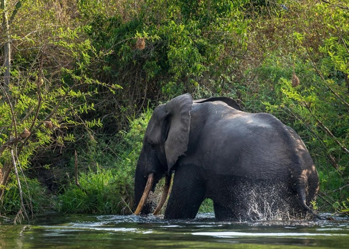 ������Ȼ��������ǰ��ʼ���ڵ��ر�������ȶ��