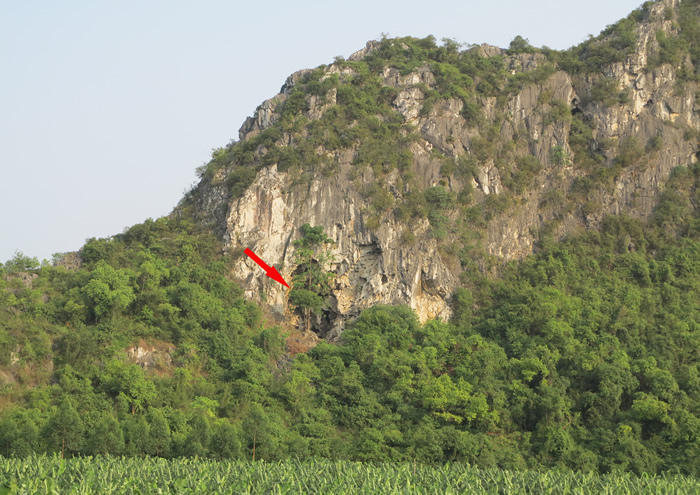 广西隆安娅怀洞遗址考古发掘出16000多年前人类头骨化石