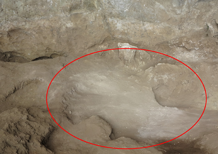 广西隆安娅怀洞遗址考古发掘出16000多年前人类头骨化石