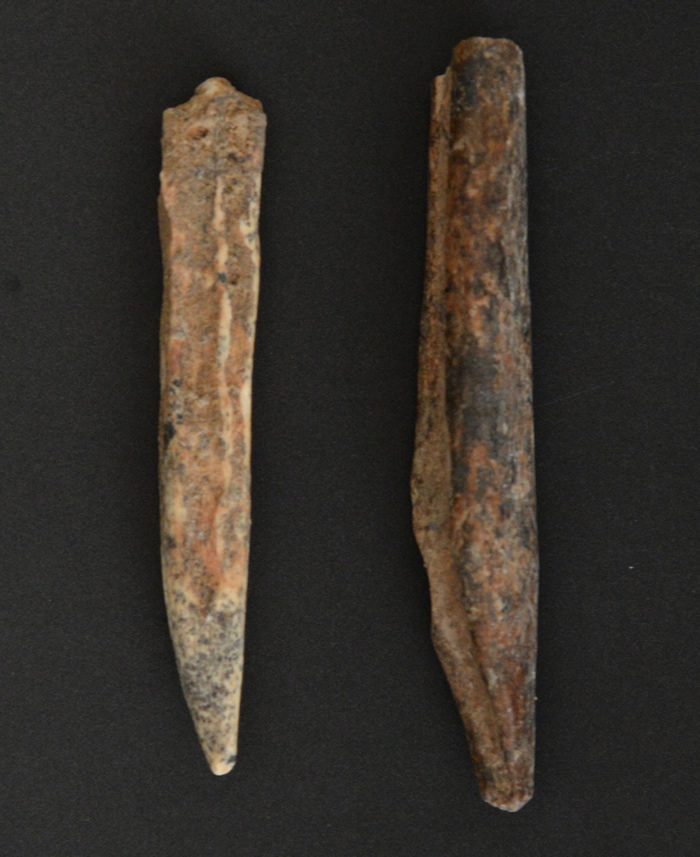 广西隆安娅怀洞遗址考古发掘出16000多年前人类头骨化石