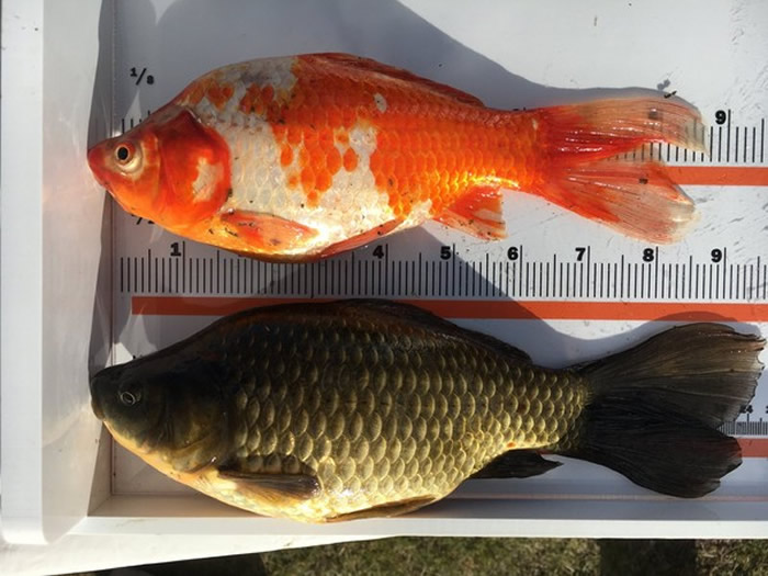 ôǲʡʥ̬ƽ٣4ǰҰһ޽ǧֻ