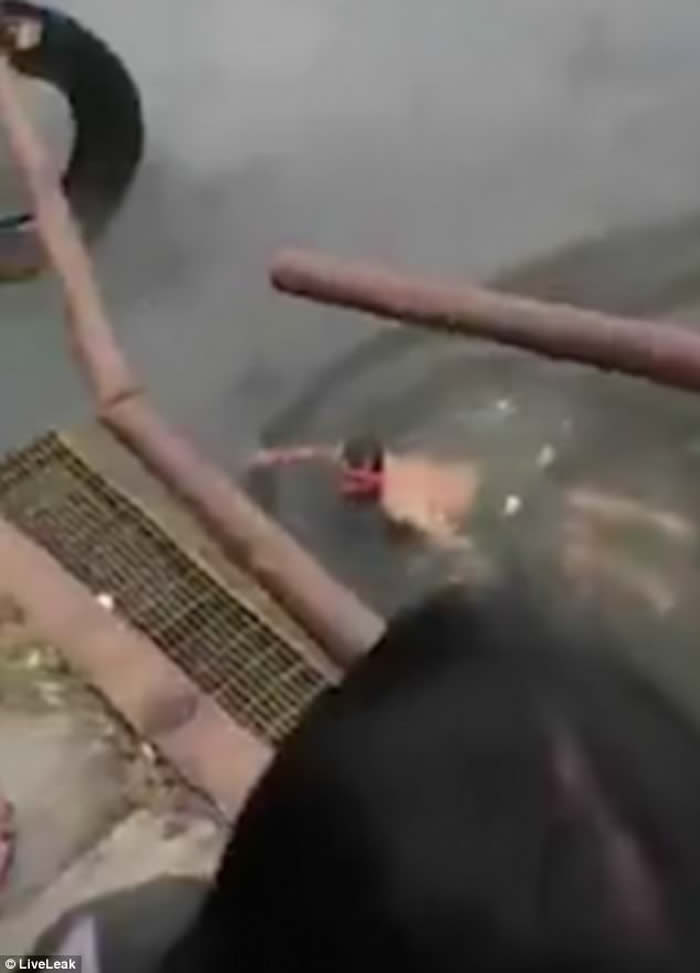 ӡᶫʡʦгֹ㿿 ձˮ