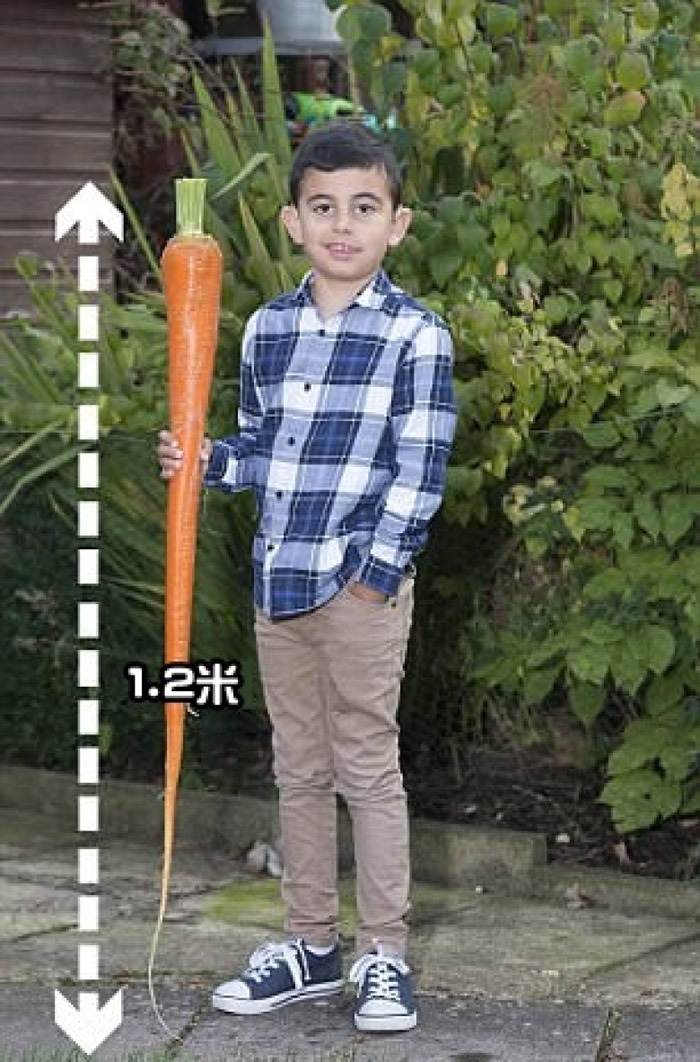 Ӣ����˹�ؿ��游Ϊ�Ա�֢��ʧ�ϵ������ֳ�1.2�׳��ĺ��ܲ�