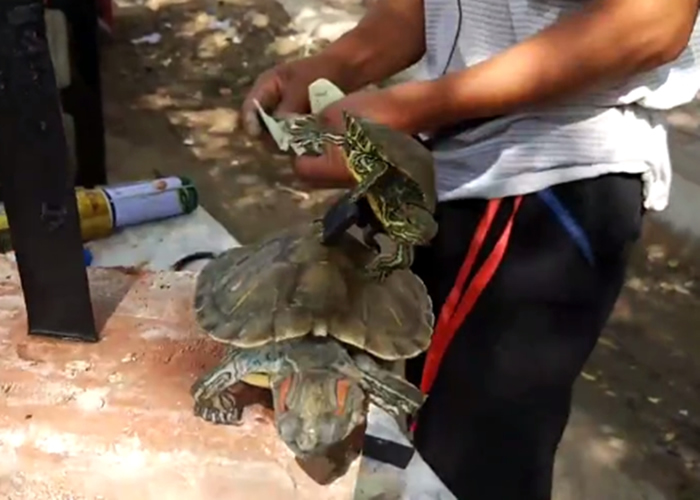 Ϊ֤����ˮ�����ǿ����̯����������שͷ�Ϲ�����ο���