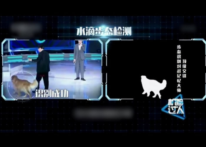 ʶ��ϵͳͬʱ���Ӧ���ڶ������ϡ�