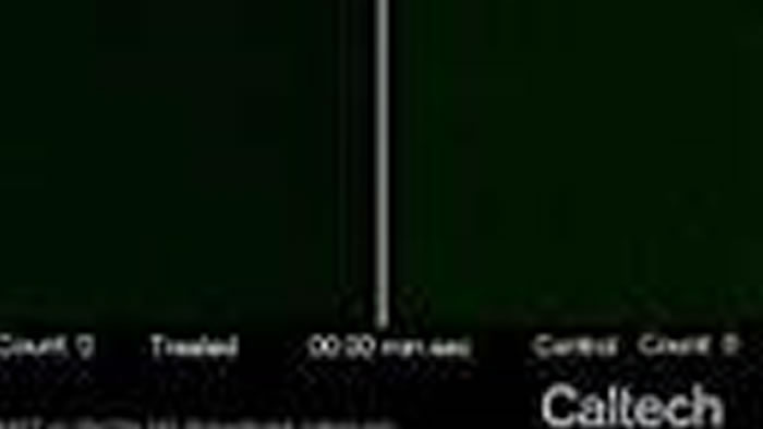 30ӻ򲻵ʱڼ⿹ԿɰҽӦϸ