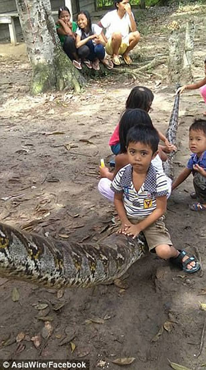 印尼廖内省男子徒手打死7米大蟒蛇勇救途人