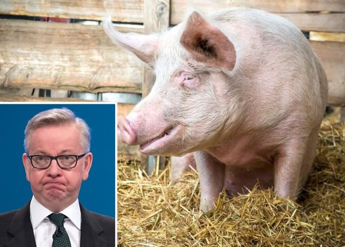 Ӣ�����ڱ��ص�����׳����й��˰��������ۡ� ����ŷ����೸��