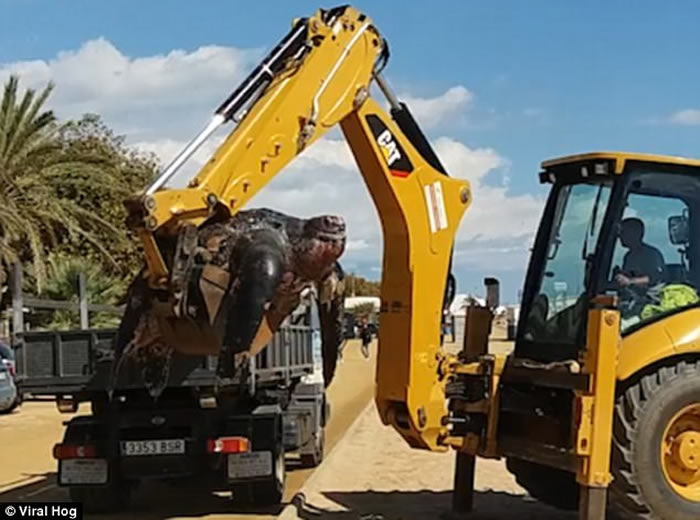 ��������������ɳ̲������Ƥ���ǳ