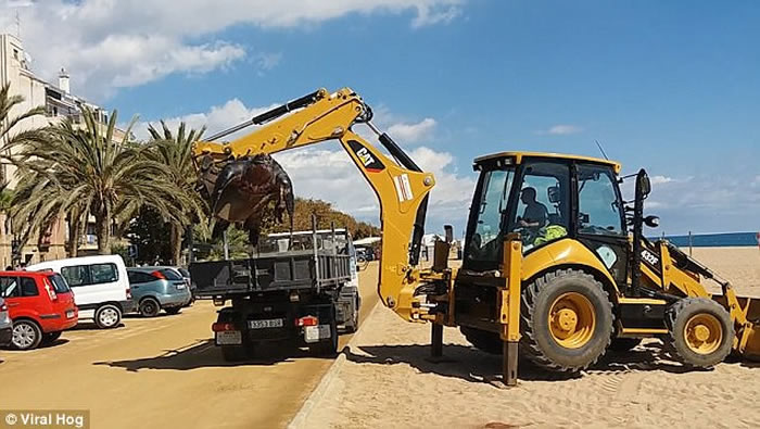 ��������������ɳ̲������Ƥ���ǳ