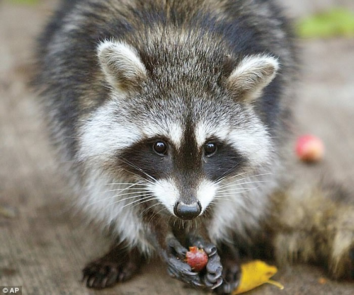 ��������������������ˮλ�仯����Ч����ʳ��