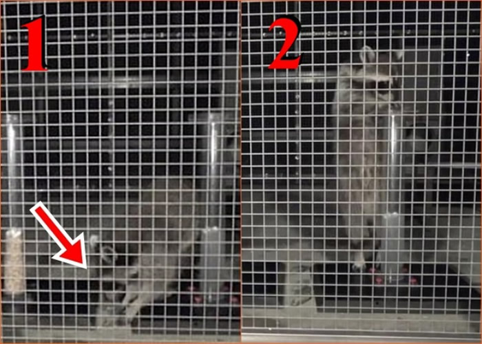 ��ܴ�ˮ���Լ���ʯ�飨���ͷʾ��������֮�Ž�ˮ�ܣ�ͼ2����