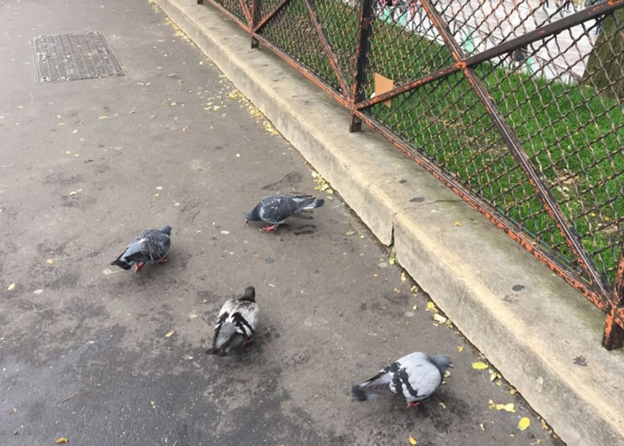 ���ڳ��ھۼ����ٰ׸롣���������㣩