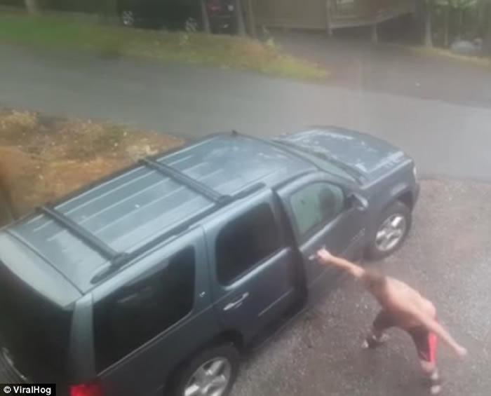 美国田纳西州男子发现一对黑熊母子闯入汽车内