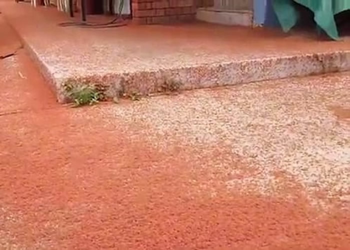 ǧз½ ӡ󶫱ʥ֡쳱