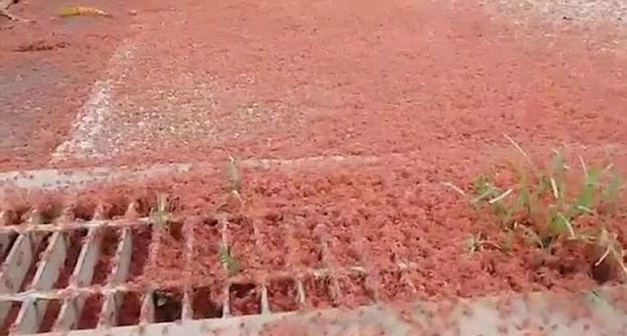 ǧз½ ӡ󶫱ʥ֡쳱