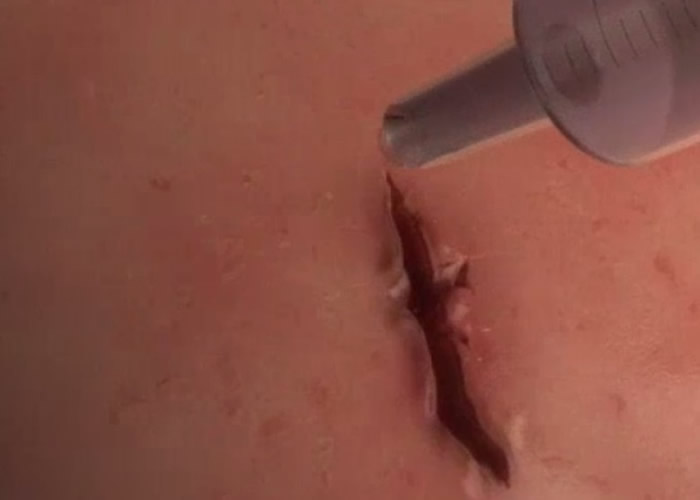 �޸����̽���������֮����ɡ�