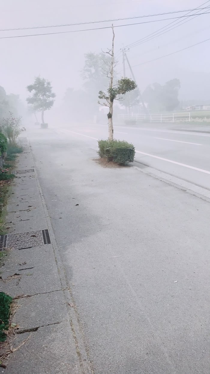 有火山灰落在附近城市。