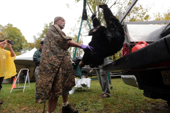 有猎人们估计,今年可能是新泽西最后一个狩猎季节。