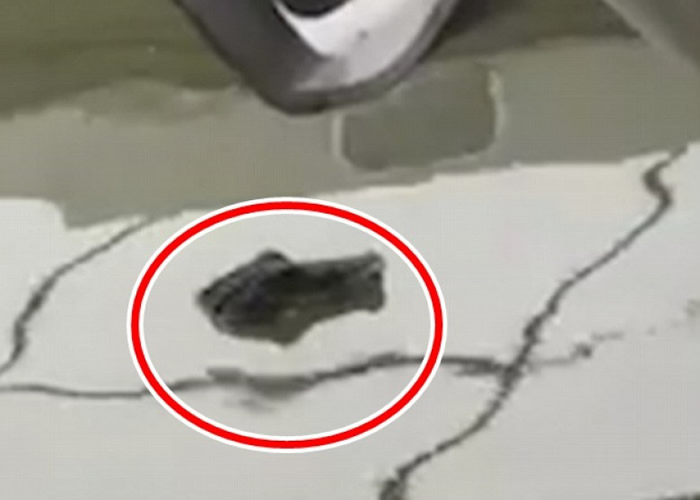 ����ͷԭ����װ��Ʒ��