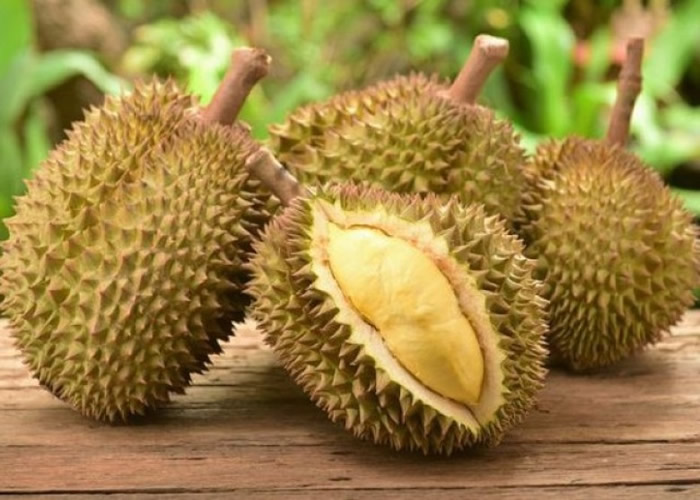 榴梿的气味不是人人喜爱。