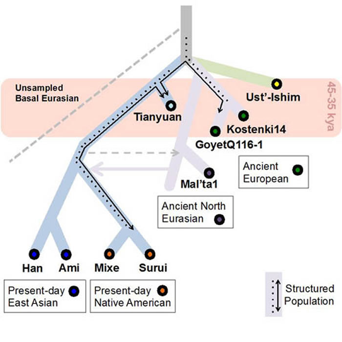 田园洞人与其他人群关系示意图(付巧妹供图)